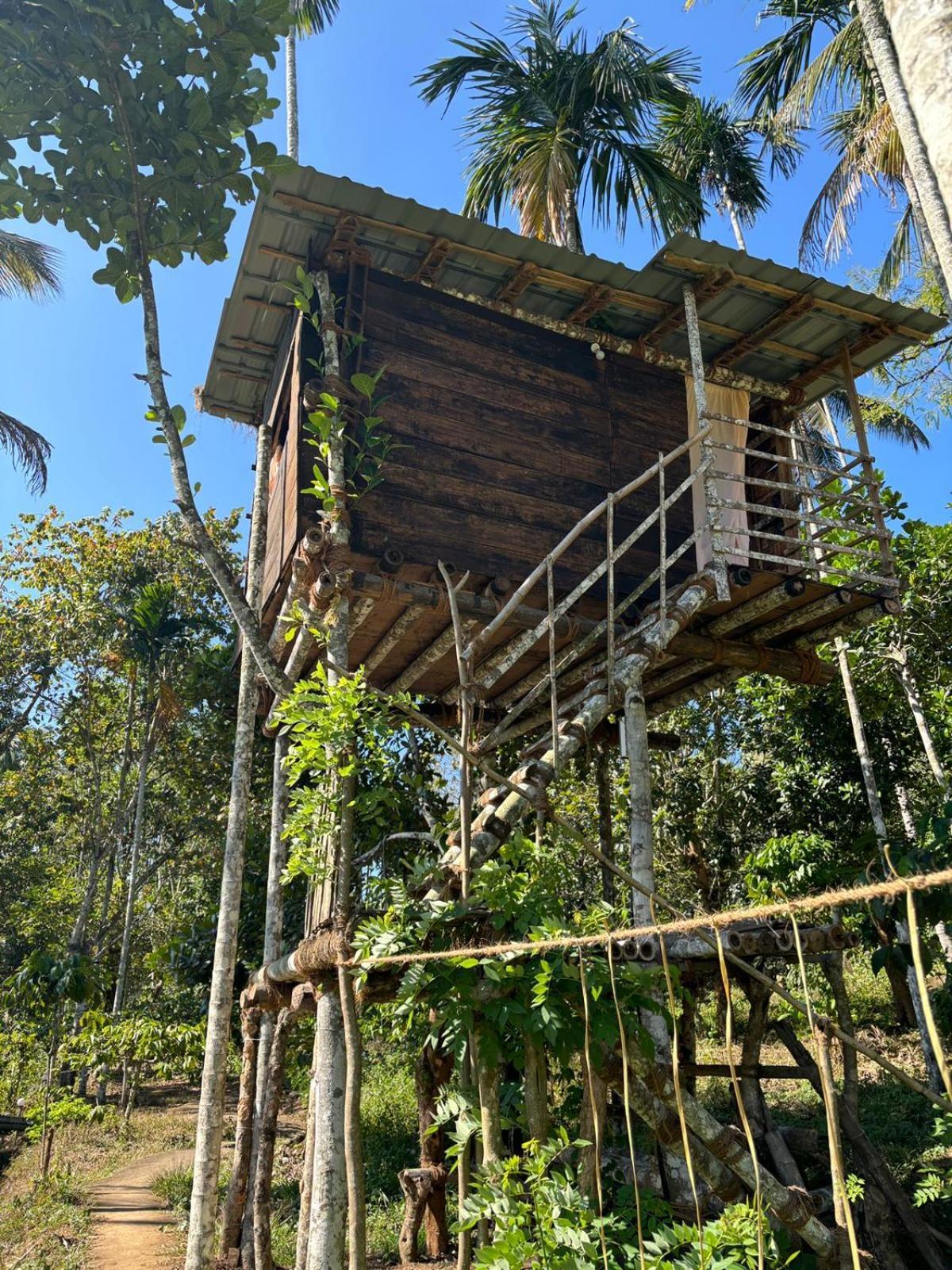 Lotus Jewel Forest Camping Sultan Bathery Exterior photo