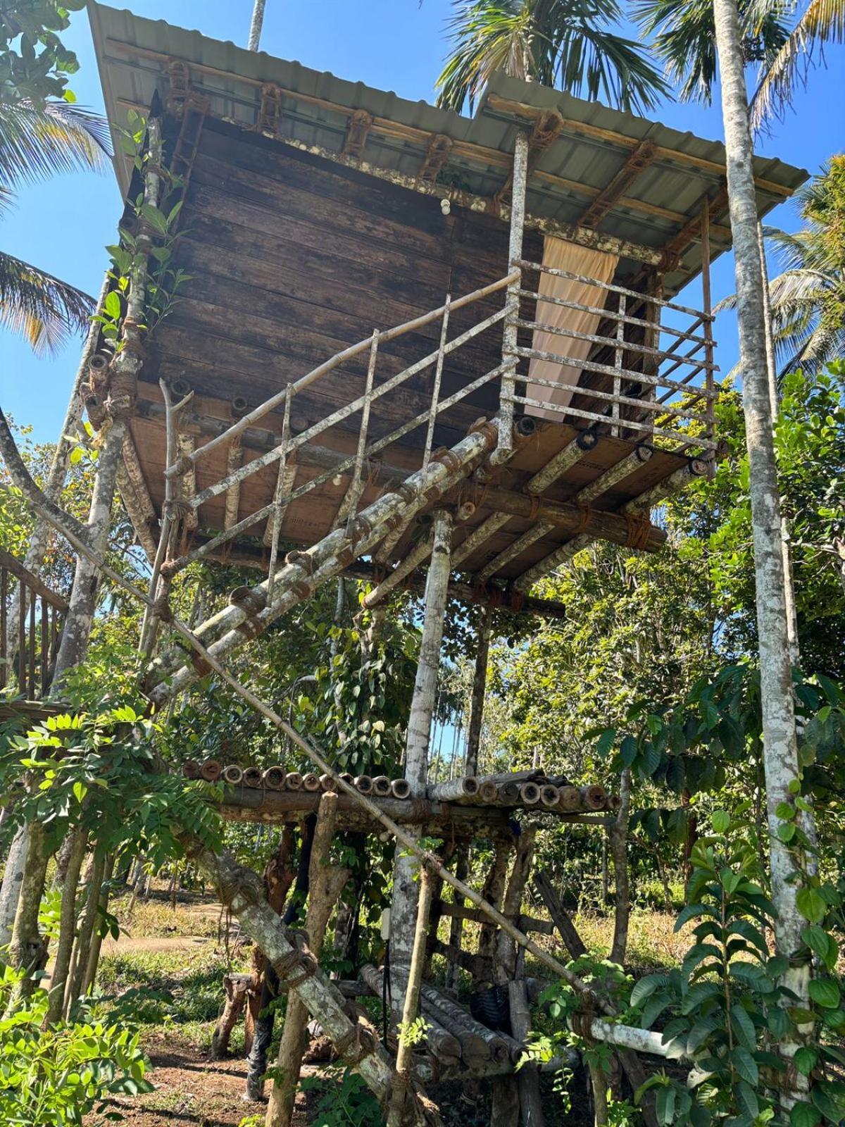 Lotus Jewel Forest Camping Sultan Bathery Exterior photo