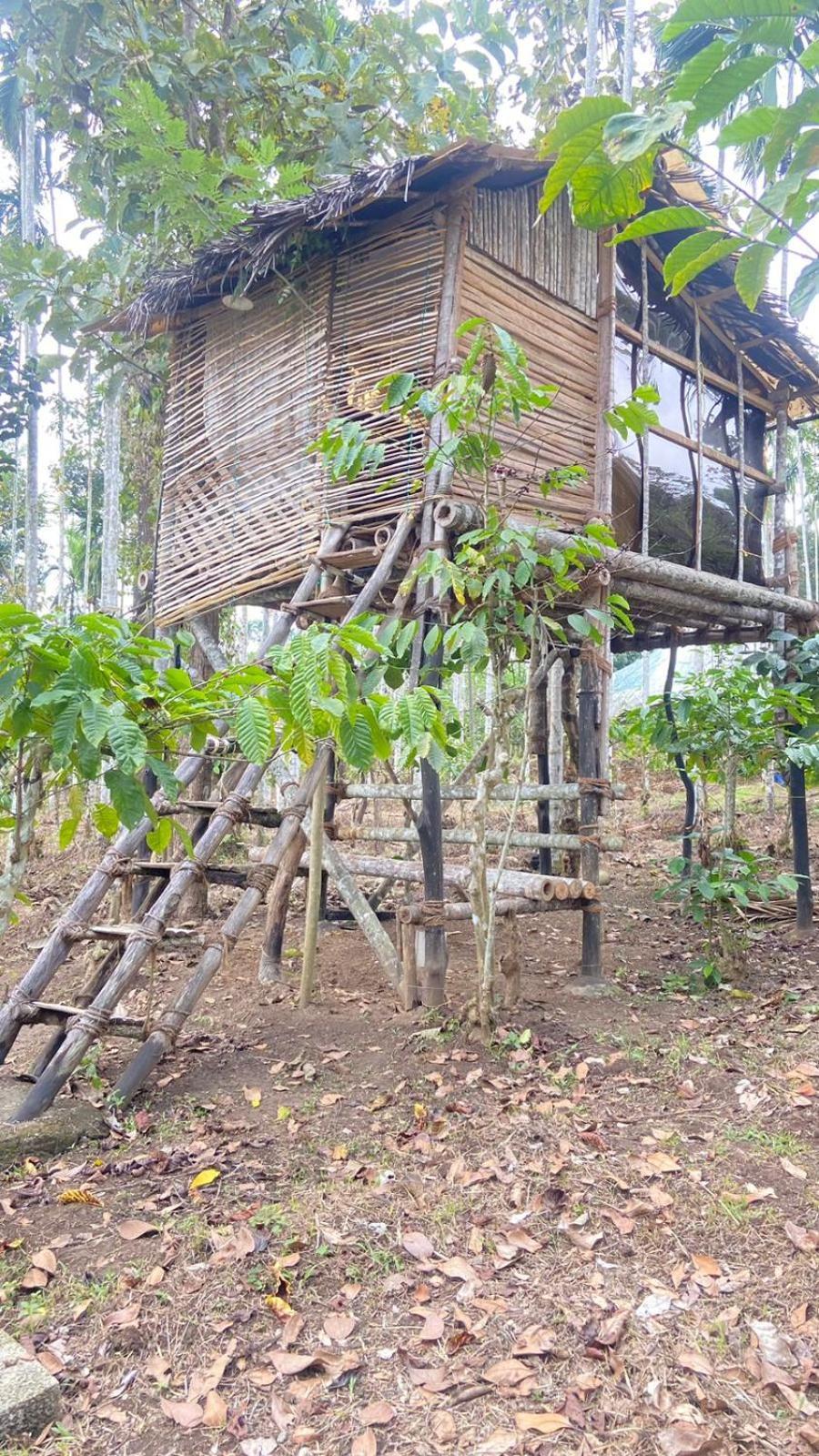 Lotus Jewel Forest Camping Sultan Bathery Exterior photo